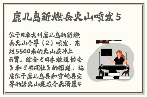 大象传媒2024年人口